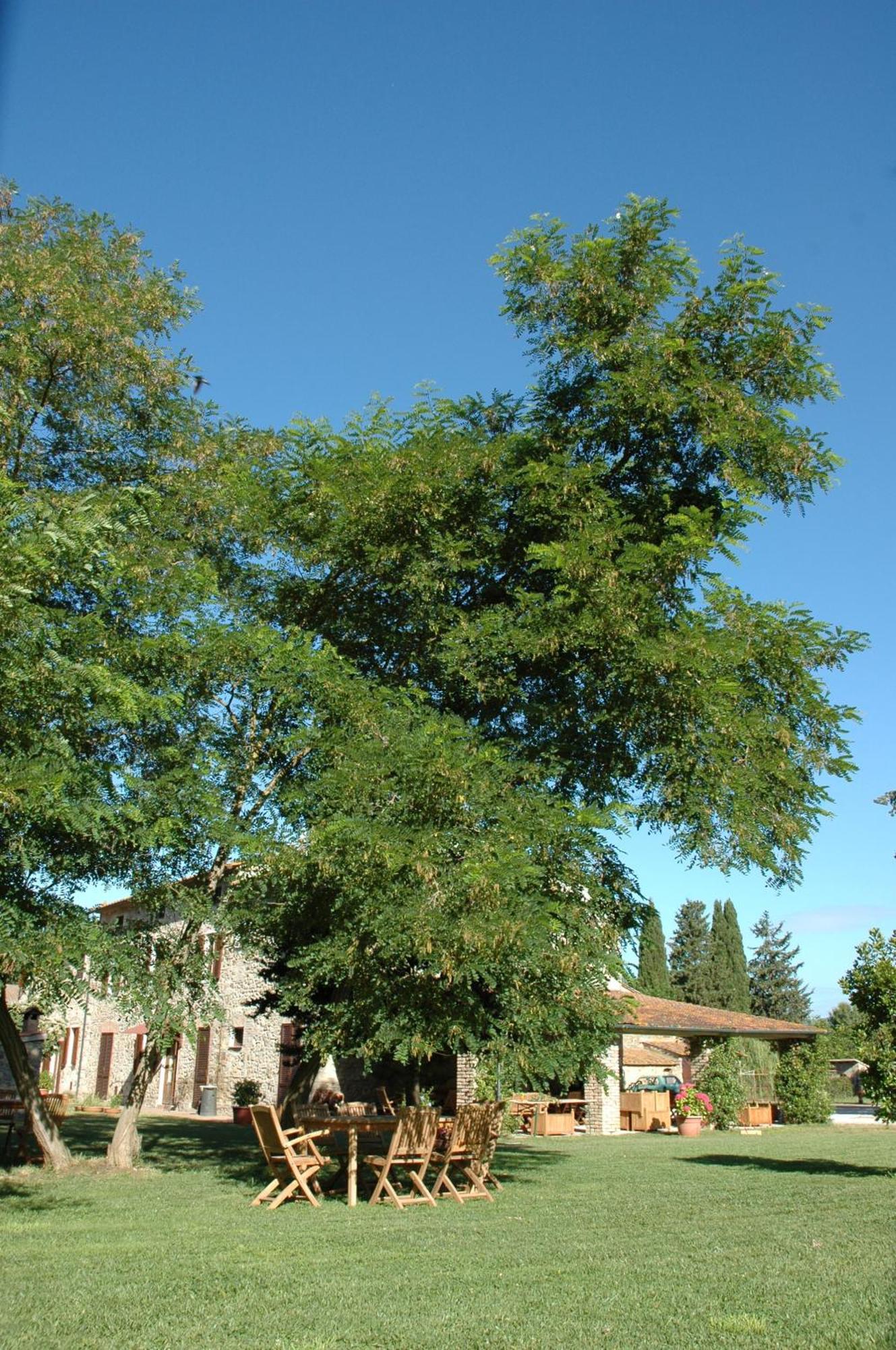 Agriturismo Le Piane Del Milia Suvereto Exterior photo